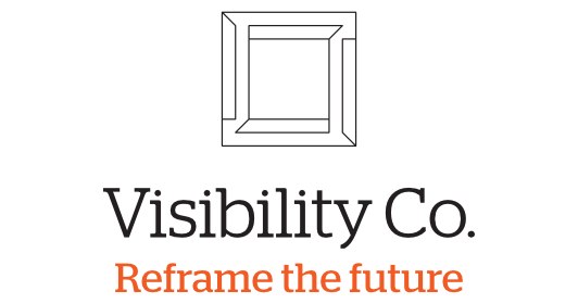 visibility logo