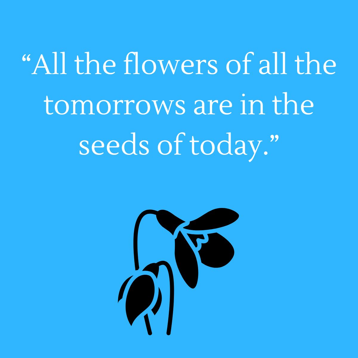 All the flowers of all the tomorrows are in the seeds of today